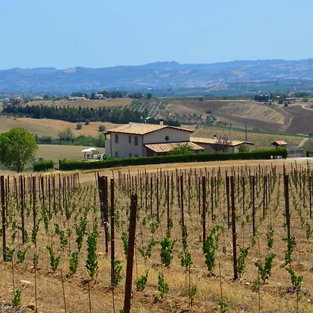 La Cascina Di Amela Micarone