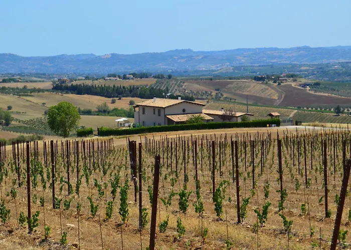 La Cascina Di Amela Micherone